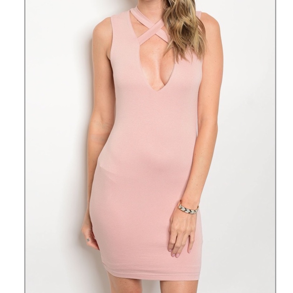 Spring Fling Light Pink Dress